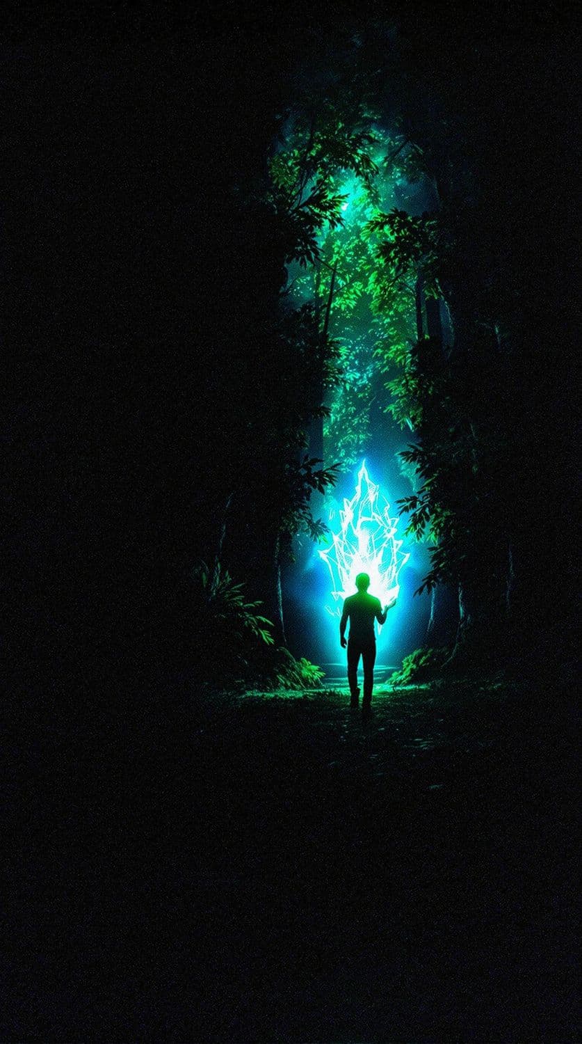 The Wanderer's Discovery